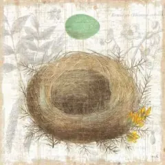 Botanical Nest II Poster Print by Moira Hershey - Item # VARPDX8384