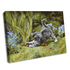 Painting by Numbers kit Playful kitten KHO4251