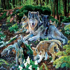 Sunsout Forest Wolf Family 500 pc Jigsaw Puzzle 60506