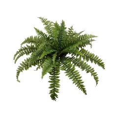 6-Pack: Boston Fern Plant with 35 Silk Fronds, 34" Wide, Floral Home by Artificial Flowers