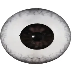 Giant Eyeball Eye Scary Horror Adult Vacuform Halloween Mask