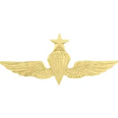 EagleEmblems P16320 Wing-USN/USMC,para,Senior (GLD) (2.75'')