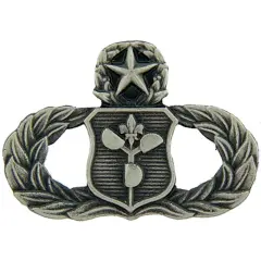 EagleEmblems P12103 Wing-USAF,Meteor,Master (Mini) PWT (.875'')