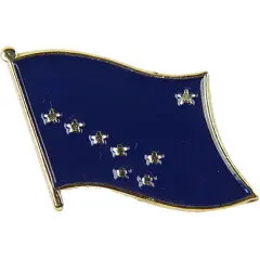 Alaska Flag Pin 1"
