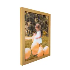 Modern Gold 44x23 Picture Frame44x23 Frame 44 x 23 Poster Frames 44 x 23