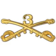 EagleEmblems P16092 BDG-Army,CAV.Swords,03RD (2.25'')