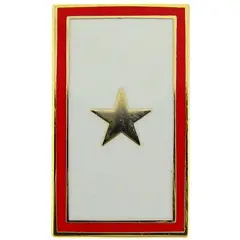 Family Member In Service Pin Gold Star 7/8"