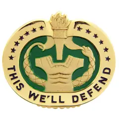 U.S. Army Drill Instructor Pin 2"