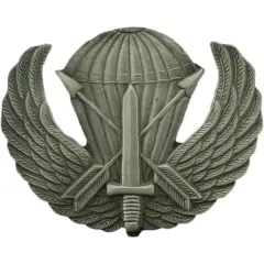 EagleEmblems Army Spec Ops Airborne Wings Large Lapel Pin (1 3/4") P16449