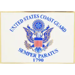 EagleEmblems P16292 Pin-USCG,Flag (1.5'')