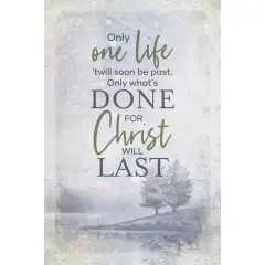 Dexsa Only One Life Wood Plaque 6x9