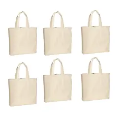 Multipack Heavy Canvas Twill Convention Bag | Reusable Blank Party Favor Tote Bags for Daily Use | Raheev&reg;