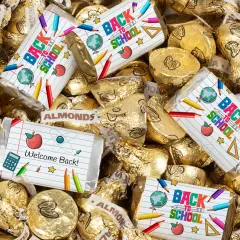 124 Pcs Back to School Candy Classroom Supplies Hershey's Chocolate By Just Candy (1.52 lbs)