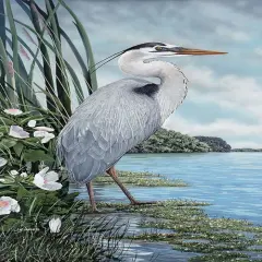 Great Blue Heron by James Harris - Item # VARPDX5467C