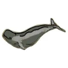 Beluga Whale Pin 1"