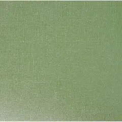 Core'dinations Gemstones Cardstock 12"X12"-Peridot