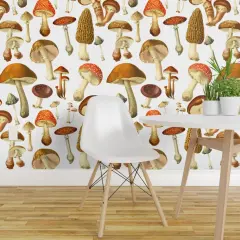 Pre-Pasted Wallpaper 2FT Wide Vintage Botanical Botanicals Mushrooms Illustration Nature Art Natural Science Custom Pre-pasted Wallpaper by Spoonflower