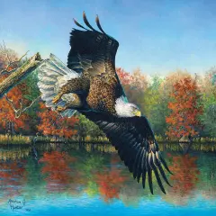 Sunsout Wetlands Eagle 1000 pc Jigsaw Puzzle 69607