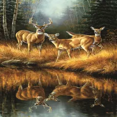Sunsout Whitetail Reflections 550 pc Jigsaw Puzzle 30923