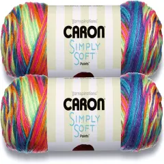 (Pack of 2) Caron Simply Soft Paints Yarn-Rainbow Bright