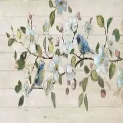 Shiplap Duet Poster Print by Nan - Item # VARPDX17540