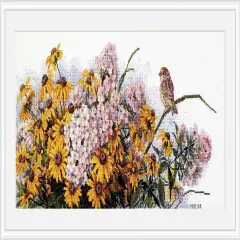 Black Eyed Susans and Phlox K-208 Counted Cross-Stitch Kit
