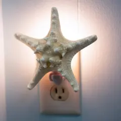 Real Starfish Night Light Knobby Starfish Nautical Night Light Beach Night Light Plug in Bathroom Night Light Seashell Light Nautical Night Light Plug in