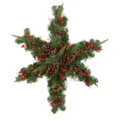 Northlight Pre-Lit Battery Operated Mixed Pine and Berries Christmas Snowflake Wreath - 32" - Warm White LED Lights Green