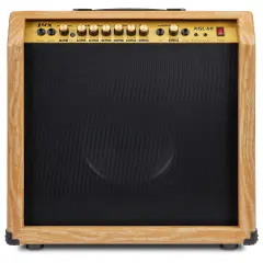 LyxPro Electric Guitar Amp, 60 Watt Portable Amplifier Natural