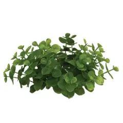 Eucalyptus Decorative Candle Ring