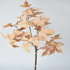 34" Faux Tan Maple Leaf Bundle (includes 2 Stems)