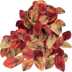 200 PCS Fall Leaves Assorted Color Artificial Magnolia Leave
