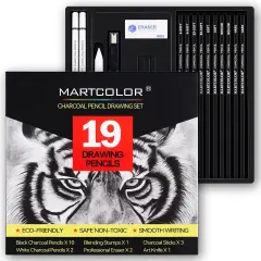 Charcoal Drawing Set, 19 Pieces, Black & White Charcoal Pencils for Drawing
