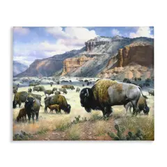 Stupell Industries Grazing Bison & Buffalo Canvas By Jack Sorenson