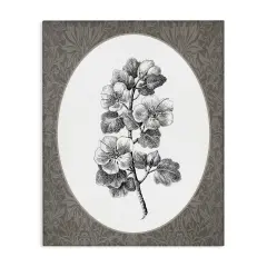Stupell Industries Vintage Cherry Blossom Sprig Canvas By Lettered and Lined