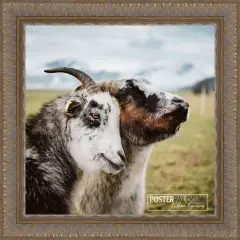 Square Ornate Gold Picture Frame - UV Acrylic, Foam Board Backing, Hanging Hardware