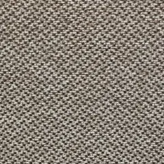 Ibanez Durable Polyester for Upholstery & Drapery Fossil