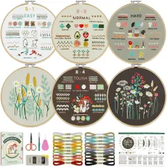 6 Stage Embroidery Kit for Beginners Adults, Easy to Learn 38 Different Stitches from Instruction