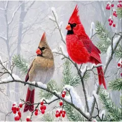 Diamond Art Painting Kits for Adults, Cardinal Birds Diamond Art Kits for Beginners, DIY Winter Gem Art Craft for Home Wall Decor