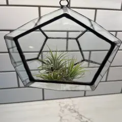Hanging Glass Terrarium - Hexagon