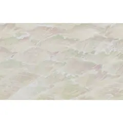 Shell Veneer, 5.5 x 9.5 inches | WMOP, BMOP, Abalone | Includes 3M Adhesive Sheet for Application, Great for Inlay Projects Flexible Pearl