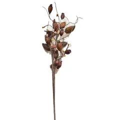 Dried Rose Hip Pick