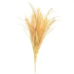 Pale Mellow Whisp Bush