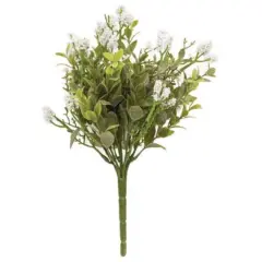 Luxberry Bush - Green