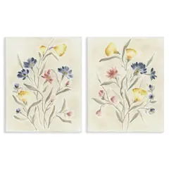 Stupell Industries Soft Cottage Posies 2pc Canvas Set By June Erica Vess