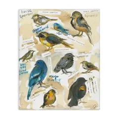 Stupell Industries Backyard Birds Identities Canvas By Jessica Mingo