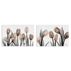 Stupell Industries Translucent Tulips in Mocha 2pc Canvas Set By Albert Koetsier