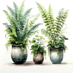 Green Plant Adult Paint by Number Kits