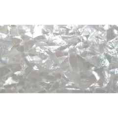 Shell Veneer, 5.5 x 9.5 inches | WMOP, BMOP, Abalone | Includes 3M Adhesive Sheet for Application, Great for Inlay Projects Natural Moasic WMOP