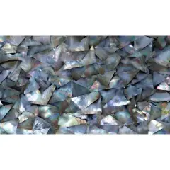 Shell Veneer, 5.5 x 9.5 inches | WMOP, BMOP, Abalone | Includes 3M Adhesive Sheet for Application, Great for Inlay Projects Natural Mosaic BMOP